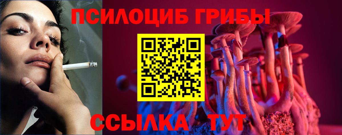 Стрежевой  Псилоцибиновые грибы мухоморы  Псилоцибиновые грибы Psilocybe  Вход с VPN 